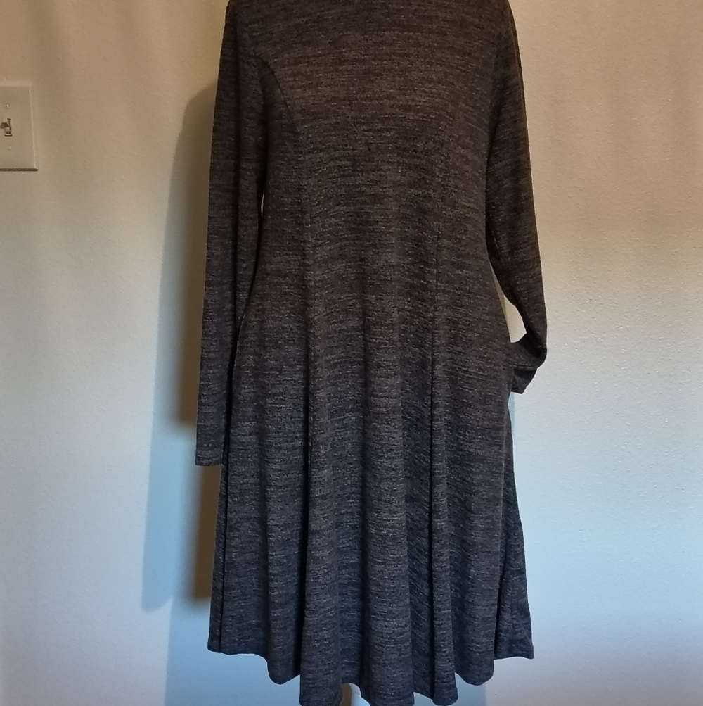 Torrid Charcoal Long Sleeve Dress